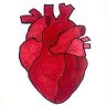 [ HEART ] HEALTHNADE